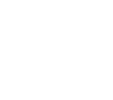 alternative